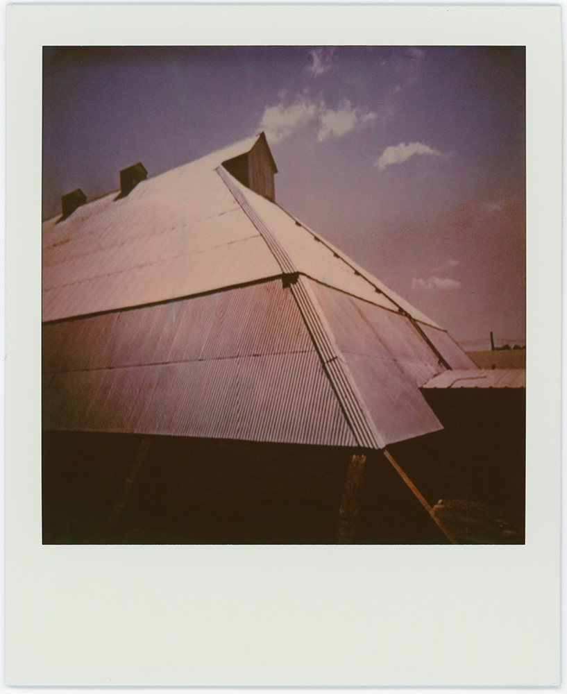 Polaroid 89